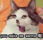 张馨予所用的化妆品,张馨予代言过哪些化妆品