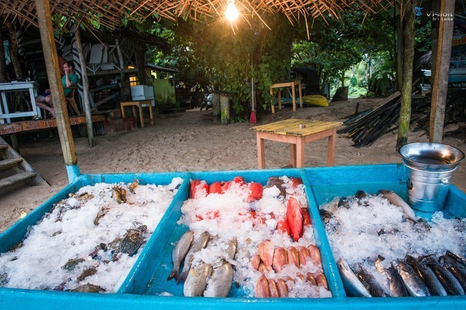 蓝色大海女人,蓝色大海和绿色大海