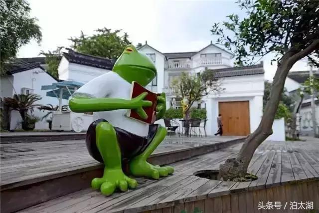 太湖排名前十民宿,太湖边的民宿推荐