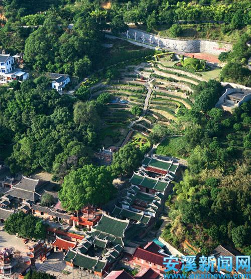 安溪茶都批发市场,安溪茶都店铺出售