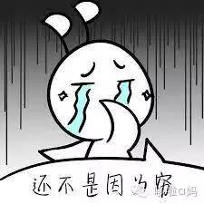 全家一起补营养,全家补充维生素吃哪种实惠