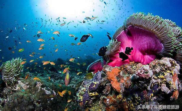 北京工体富国海底世界周边玩乐,北京富国海底世界游览全过程