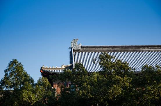 120岁生日倒计百天！爱浙大有120个理由，也许1个已足够！