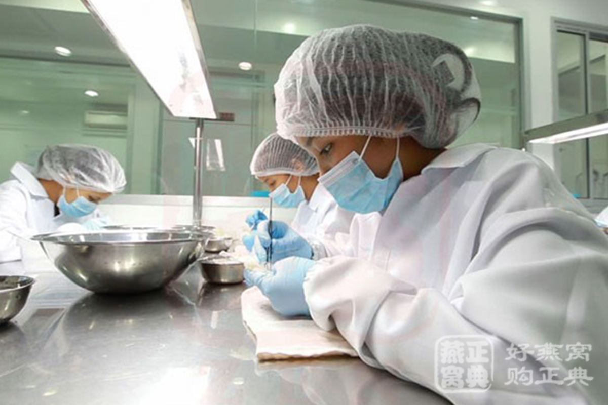 印尼溯源燕窝与其它燕窝区别,燕窝鉴别最简单的方法