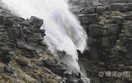 30秒抓鸽子,八个神器抓鸽子