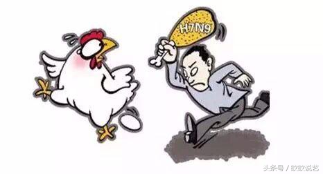 预防禽流感最好的办法,避免禽流感的方法