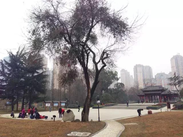 鑺辨捣閲嶇鏉ヨ,鑺辨捣鏉ヨ