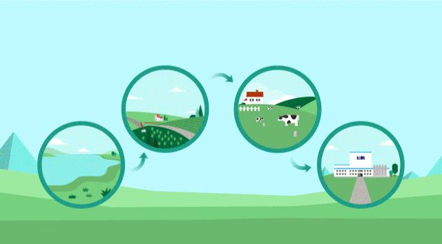 真正补钙的方法还得从这4点做起,医生告诉你正确的补钙方法