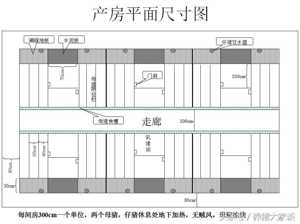 现代养猪的简易猪舍建造,自繁自养猪舍建设
