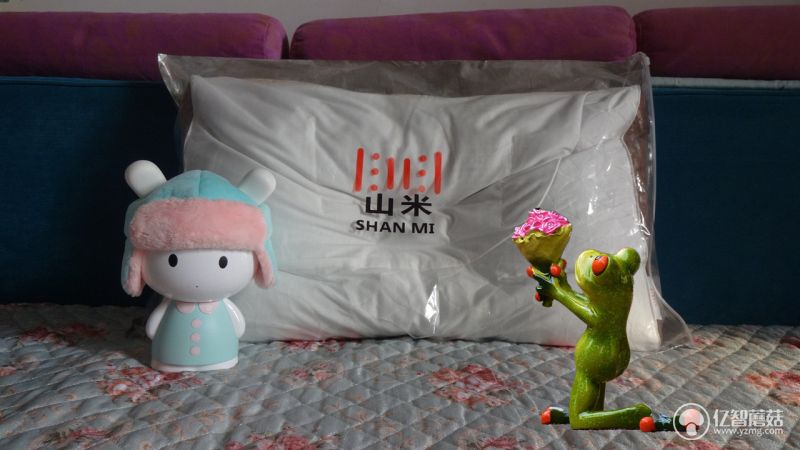 情人节礼物送老婆枕头,情人节枕头双人