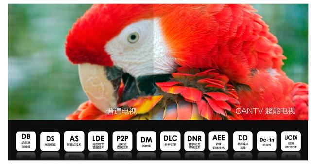 情人节虐死狗选看尚超能电视才是正确撒狗粮的方式