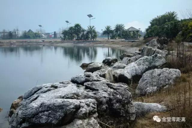 虐狗秀恩爱名场面,虐狗秀恩爱高甜视频