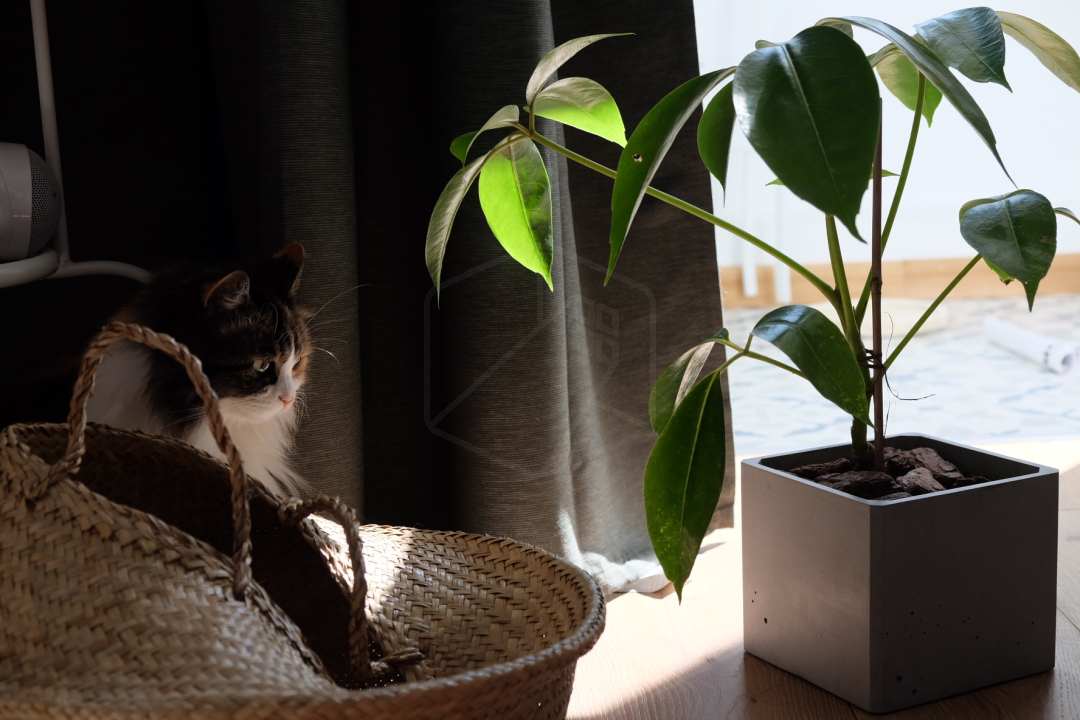 宜家的厨房橱柜质量怎么样,宜家厨房怎么样