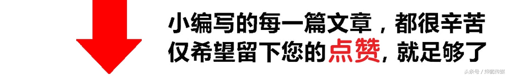 黄芪的六大功效,黄芪功效与作用
