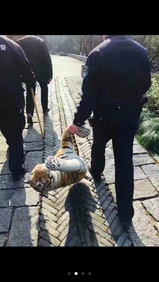 初恋情人为了所谓的爱抛弃婚姻,初恋癌症男子去照顾