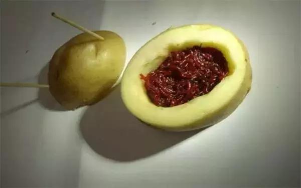 用白萝卜养红虫可以吗,土豆萝卜养红虫