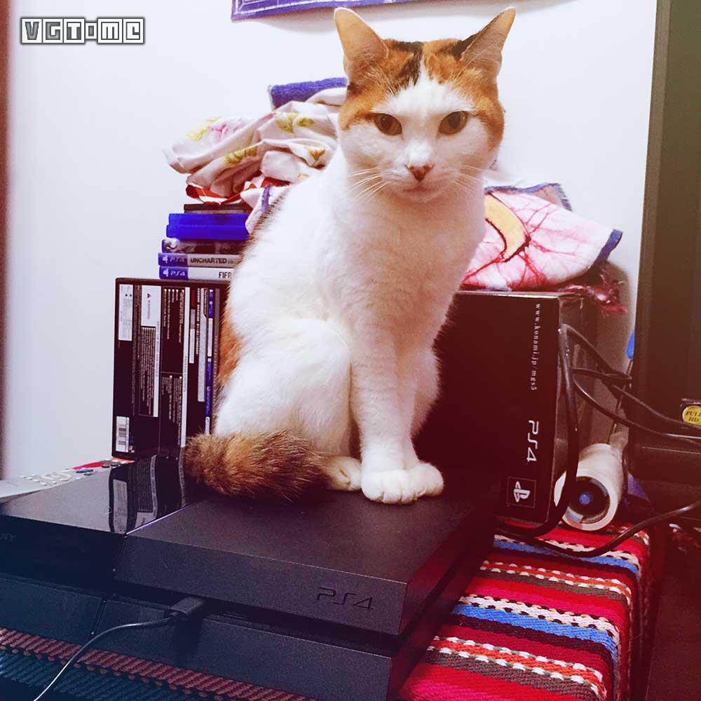 konami为什么没有授权,konami怎么加盟