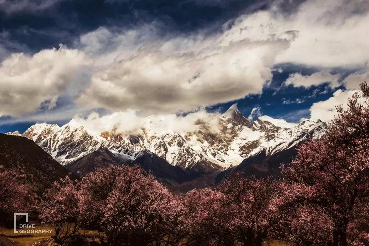 连联合国都赞不绝口的百里桃花，你真的不带她看一下吗？