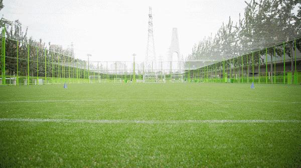 青鸟盛地足球俱乐部长沙有限公司,威海青鸟盛地足球青训