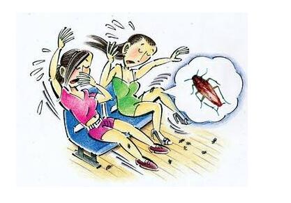 彻底消灭德国小蠊,家里好多德国小蠊