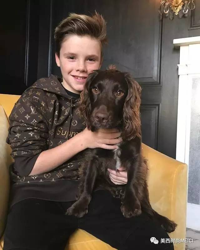 supreme和lv,supreme和lv联名牛仔衣