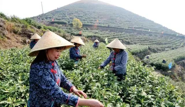 浙江省委书记为浙江企业家点赞,区领导为乡贤点赞