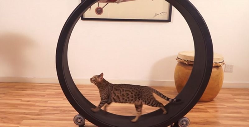 情人节，我们为热爱科技的你准备了一个剁手清单！