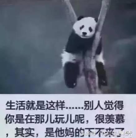 丁酉是什么火,丁酉是不是就是丁火