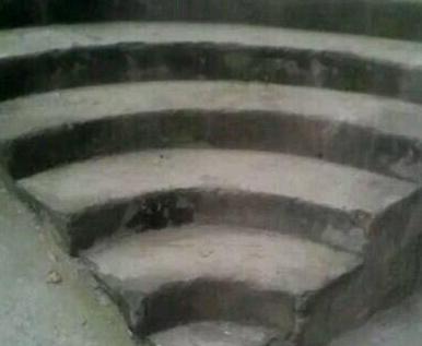 皮皮虾的新技能，随随便便做500个仰卧起坐