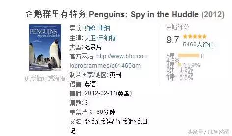 豆瓣9.7的企鹅版《无间道》，上演最萌版「原配撕小三」！