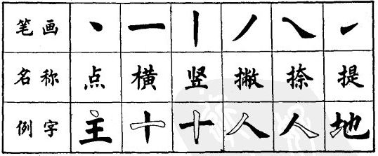 懂得的懂正确笔画笔顺,老师的老笔画笔顺