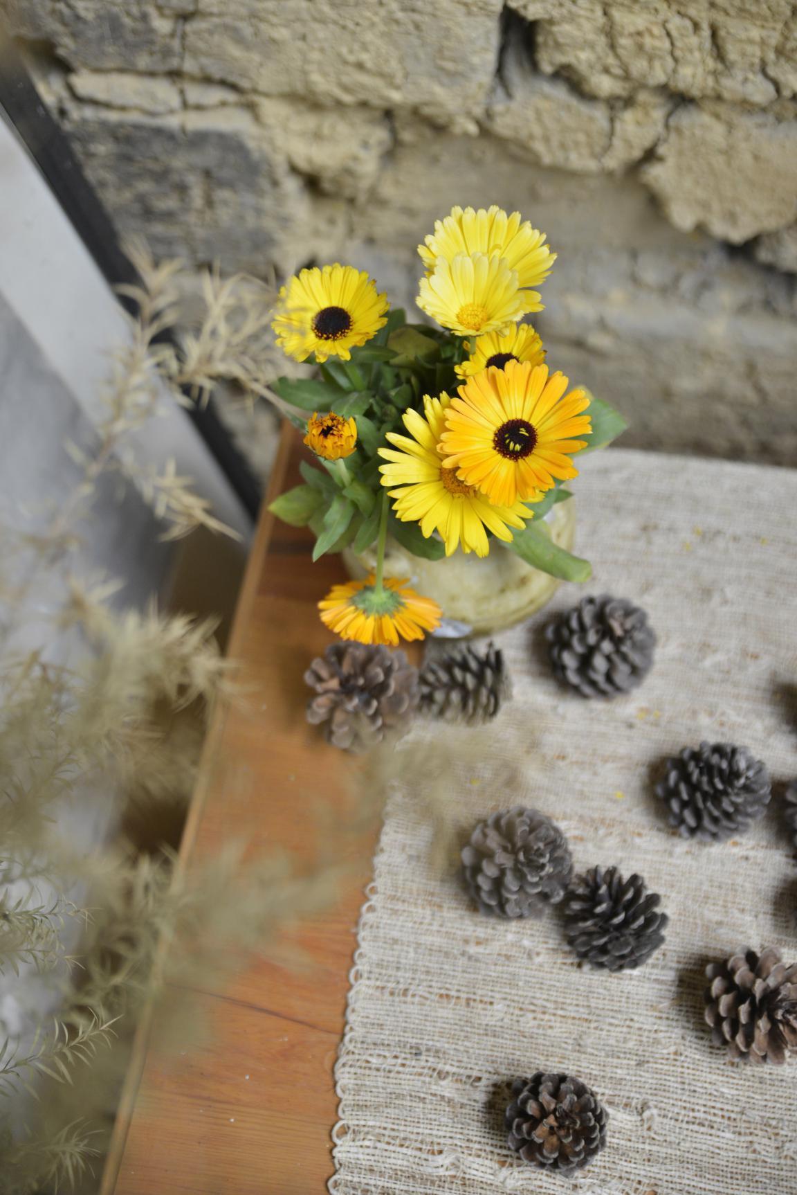 成都明月村一日游,成都明月村值得去吗