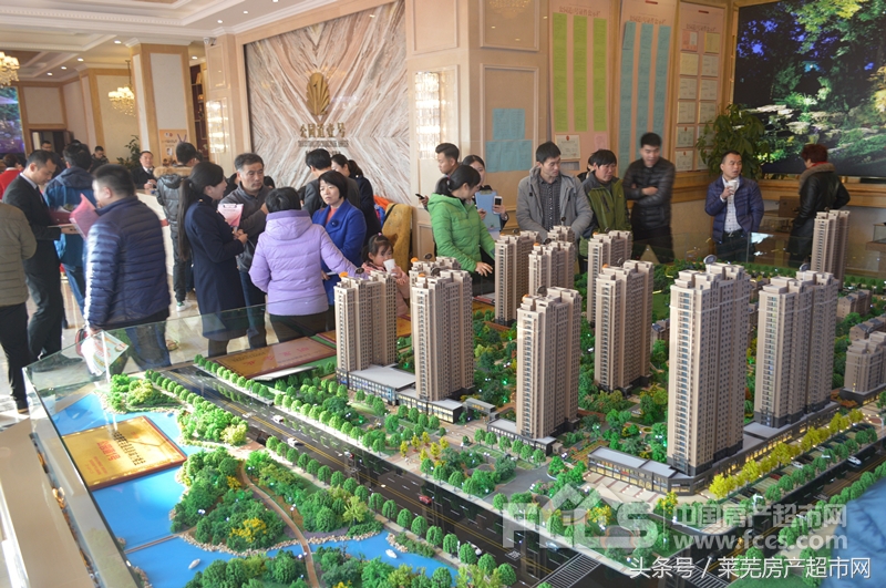 城区买房必看楼盘,莱城区房价最新消息