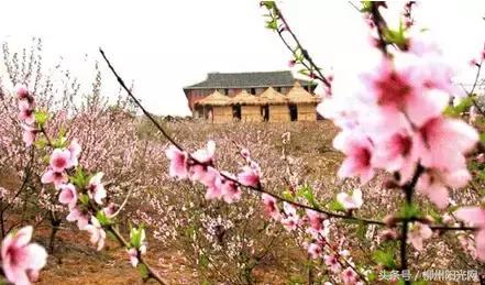 柳州附近农庄适合小孩玩,柳州周边农庄场地推荐