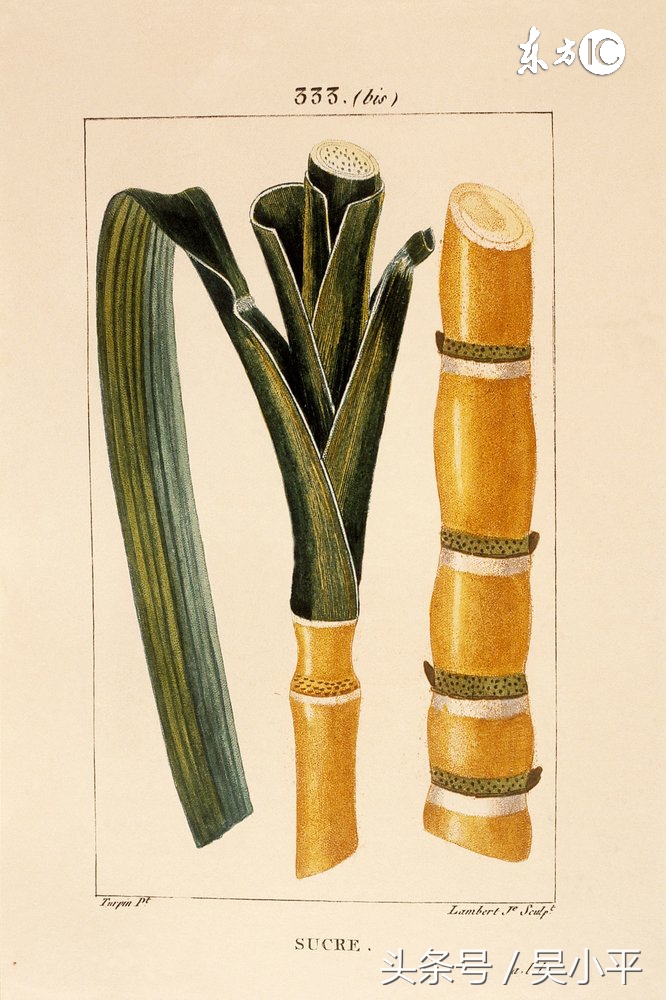 股市行情分析吴小平,吴小平对目前股市的走势判断