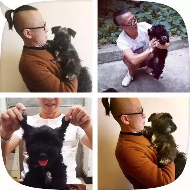 长沙人爱养什么品种的鸟,长沙人为什么喜欢养乌龟