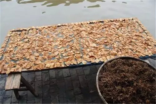 西塘景区有什么好吃的,浙江西塘附近有啥好吃的