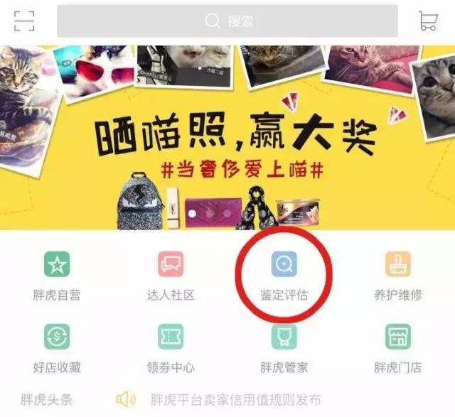 chloefaye正品多少钱,chloefaye国内专柜价格