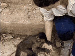 这就是朋友和闺蜜的区别,好朋友和死党区别