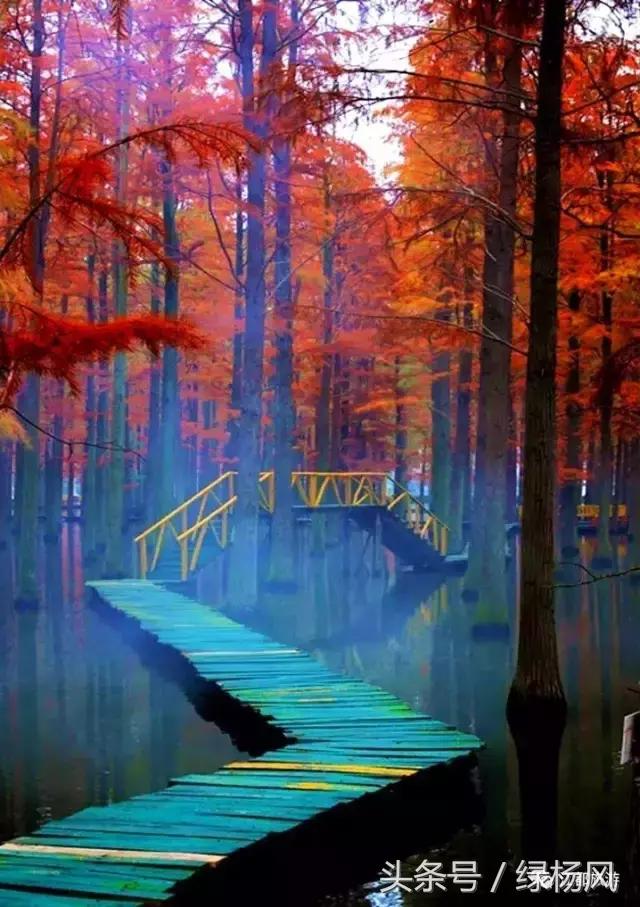 扬州情人节带对象去哪里玩,情人节一定要带女朋友去的地方