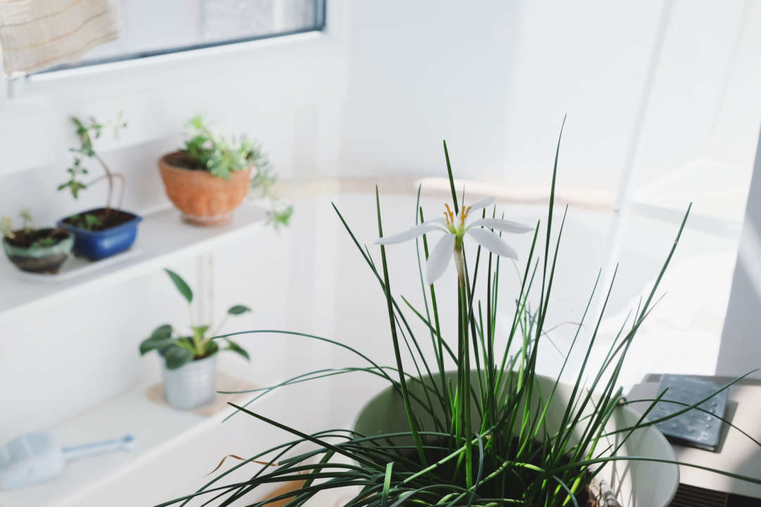 宜家的厨房橱柜质量怎么样,宜家厨房怎么样