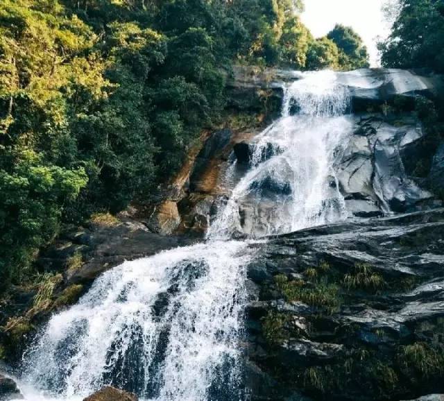 春游自驾攻略｜龙岩嘉华领您玩转闽西