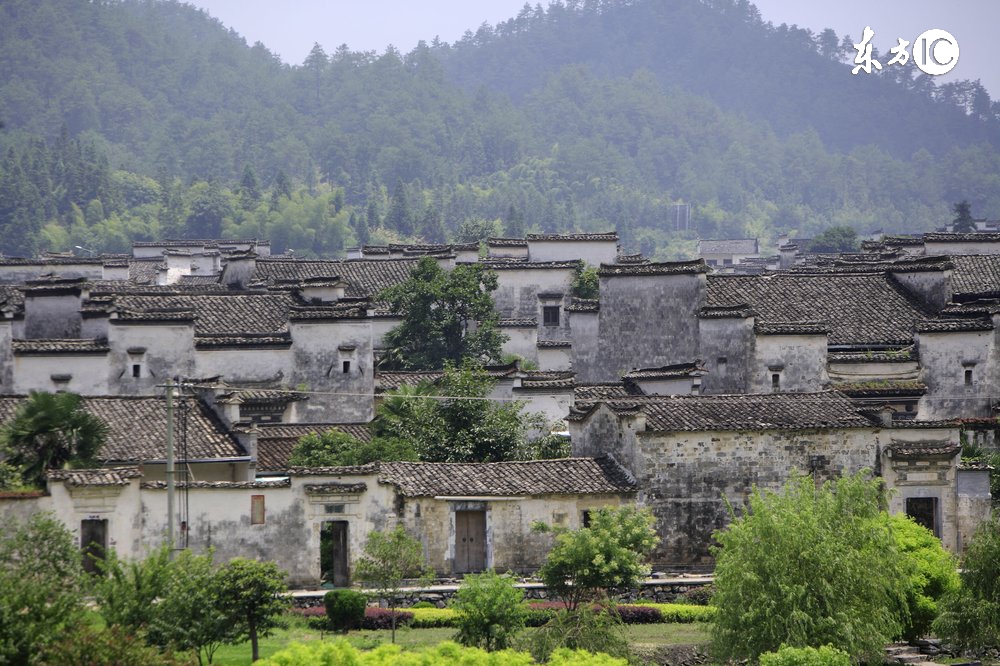 农村宅基地的土地证丢了怎么办,农村的土地证丢了拆迁怎么办