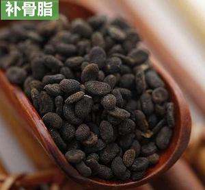 补骨脂中药讲解,补骨脂的正确配伍方法