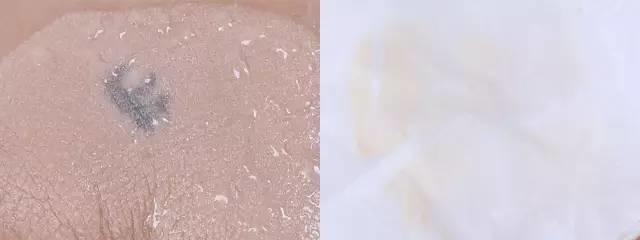 十大公认好用的气垫双层,最好的气垫是哪一款