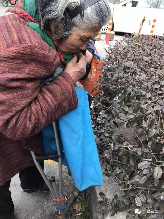 看到捡垃圾吃的老人要报警吗,吃树叶的老太太