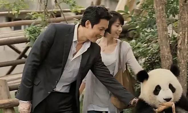 高圆圆郑雨盛甜蜜镜头,高圆圆和韩国明星郑雨盛