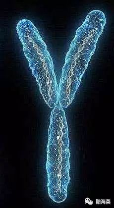 6个有趣奇闻异事保证你没听过,世界奇闻异事大全集