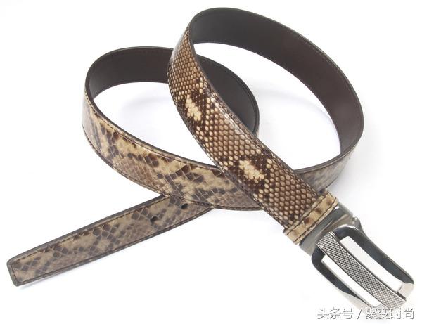 无与伦比皮肤,世界上最贵的蛇皮是什么蛇皮