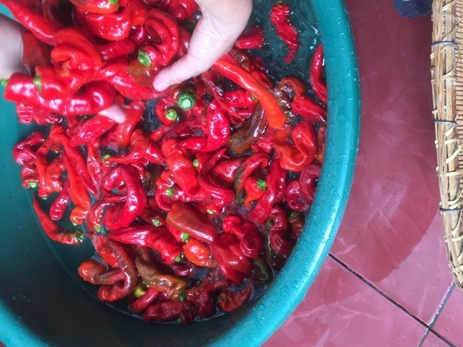 原创——巧媳妇看这里,还原农村的坛子菜4(剁辣椒)